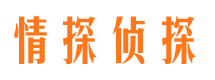 果洛侦探公司